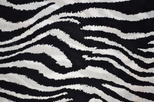 Black & White Zebra 
