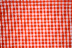 Orange Gingham   