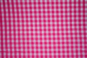 Pink Gingham   