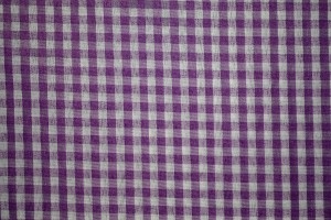 Purple Gingham   